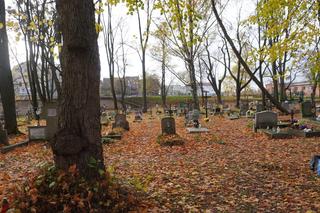 To prawdopodobnie najstarsza aleja drzew w Olsztynie. Znajduje się na cmentarzu [ZDJĘCIA]