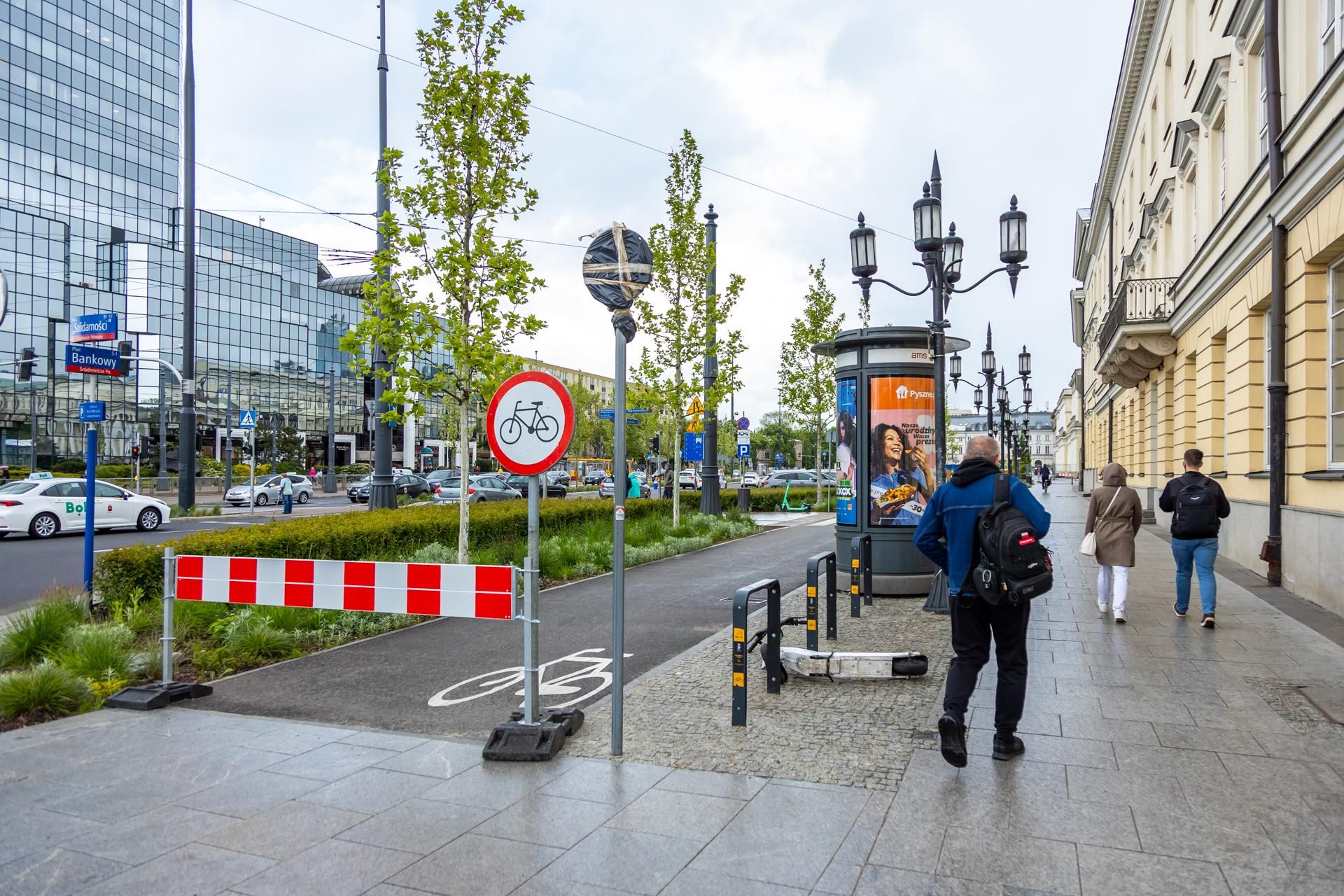 Sadzenie zieleni na placu Bankowym w maju 2025 r.