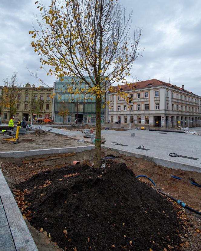 Plac Wolności coraz bardziej zielony