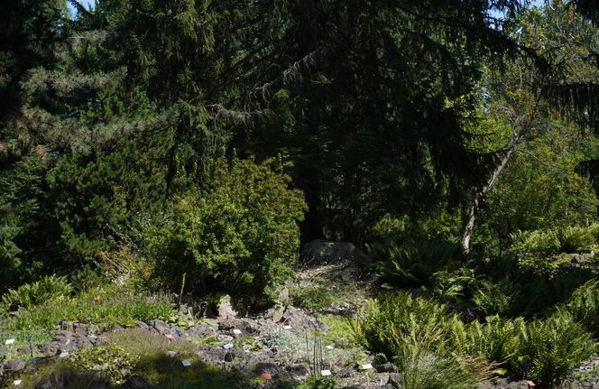 Ogród Botaniczny w Poznaniu 