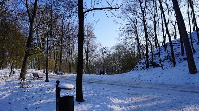 Park im. Wojciecha Bednarskiego 