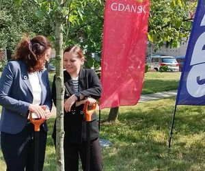 Obietnica frekwencyjna dotrzymana! Prezydentki Gdańska i Gdyni zasadziły drzewo