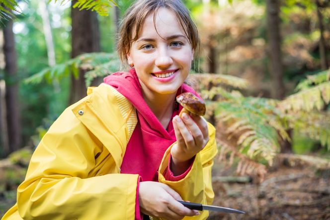 Książka z grzybami