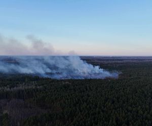 Płonie poligon pod Warszawą. Dym widać z daleka. Ogień nie jest jeszcze opanowany