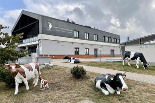 Grajewo w woj. podlaskim