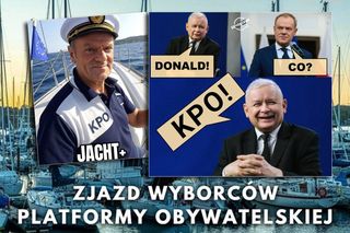 Lawina memów po aferze KPO. Internauci bezlitośnie kpią z wydatków na jachty [GALERIA]