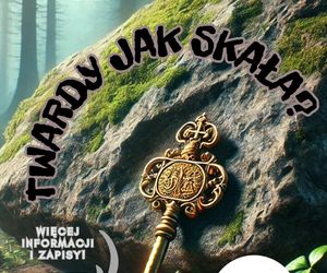 Twardy jak skała?