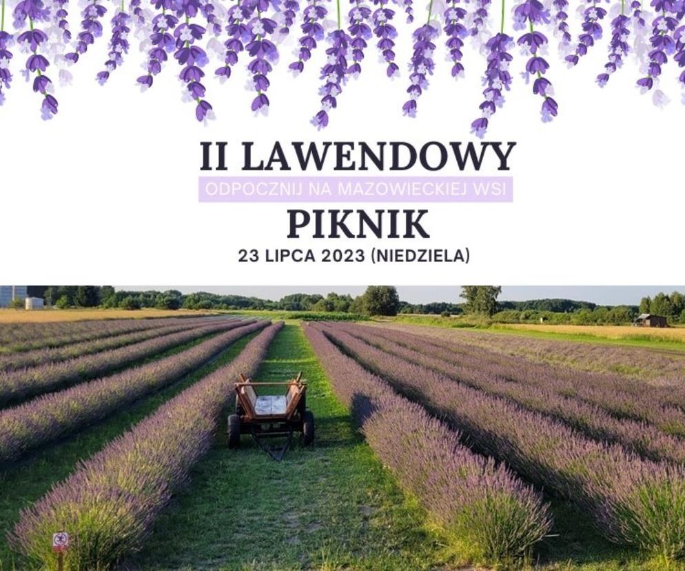 Odpocznij na mazowieckiej wsi wśród lawendy – II Lawendowy Piknik w Purzecu