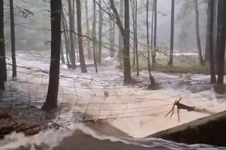 Sześciu mężczyzn uratowało Jelenią Górę! Nie poddali się nawet gdy nadzieja na ocalenie gasła 