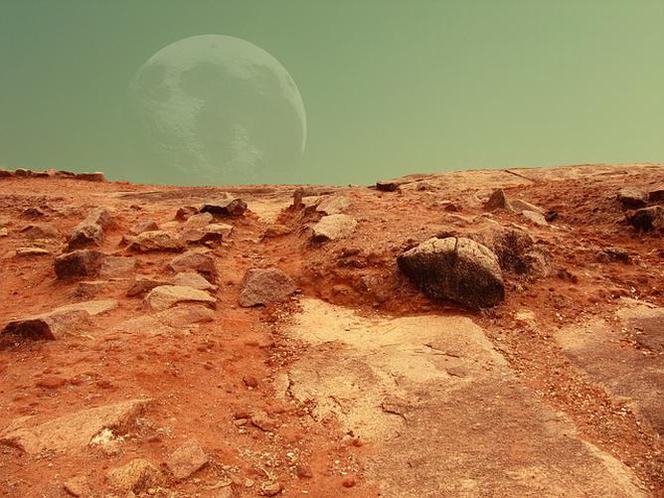 Mars One: Polak z Wieruszowa ma duże szanse polecieć z misją na Marsa! Zostawi żonę i będzie przyrządzał robaki [WYWIAD AUDIO]