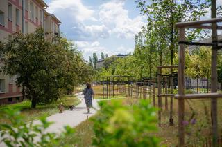 Nowy park w Warszawie