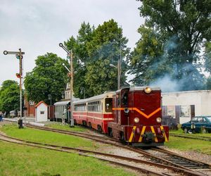 Warszawskie Linie Turystyczne