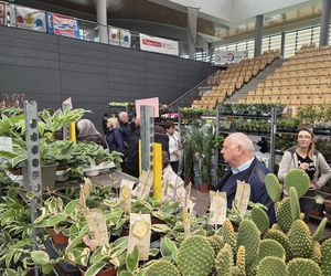 Festiwal Roślin znów zachwycił bydgoszczan! Setki gatunków i wyjątkowa atmosfera