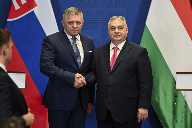 Orban dał azyl Romanowskiemu