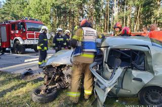 Koszmar pod Włodawą. Roztrzaskali się czołowo. Życie dwóch osób zgasło w jednej chwili