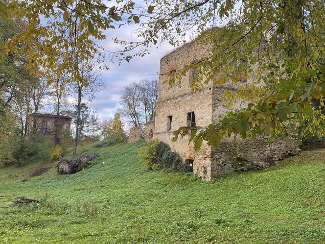 Zamek w Dąbrówce Starzeńskiej