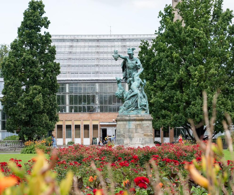 Duży sukces Hali Betonowej Betonhaus 