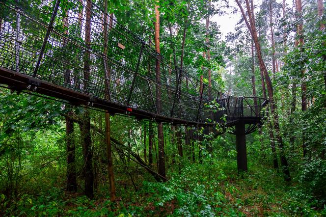 Spacer w koronach drzew w Pomiechówku – mostek od dołu