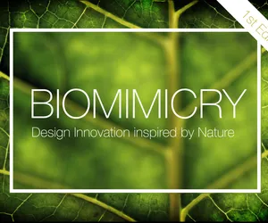 Biomimikra - konkurs na innowacyjny projekt inspirowany naturą 