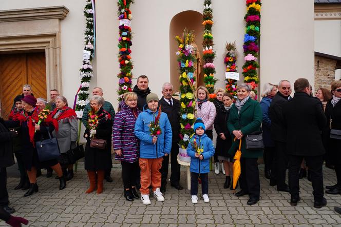 Rekordowe palmy i kiermasz świąteczny w Krynkach