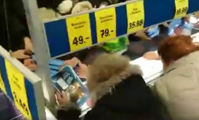 Walka o rybę z Lidla