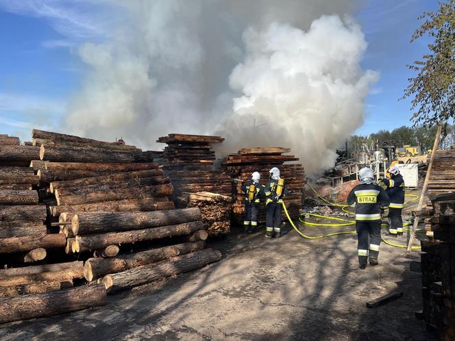 81 strażaków w akcji. Trzeba było ściągnąć specjalistyczny sprzęt