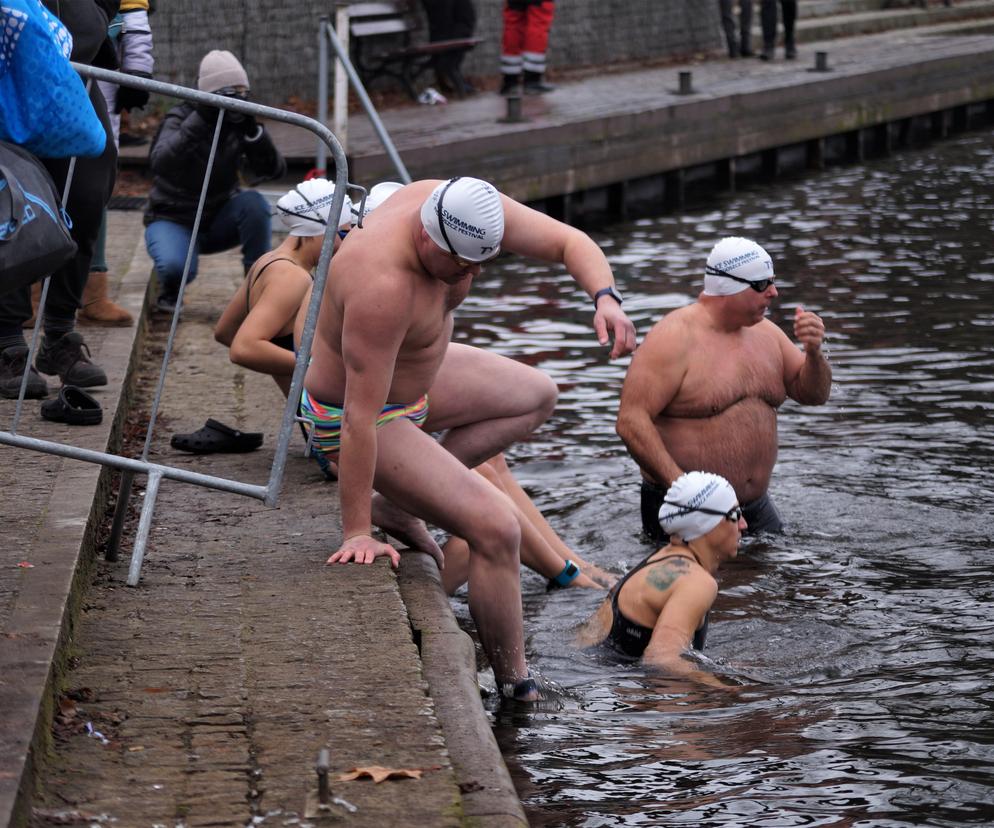 FOCUS Ice Swimming Bydgoszcz Festival 2023 [ZDJĘCIA]