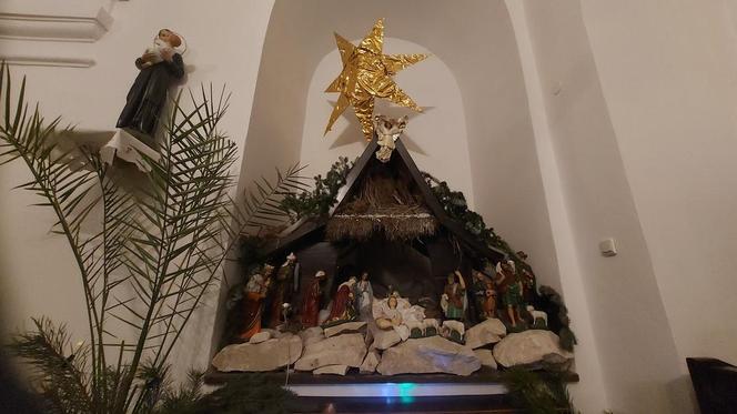Szopki Bożonarodzeniowe - Stare Miasto Zamość