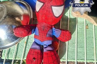 Martwy niemowlak okazał się maskotką. Szokujące zgłoszenie w Warmińsko-Mazurskiem