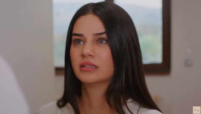 Miłość i nadzieja odc. 278. Bahar, Kuzey