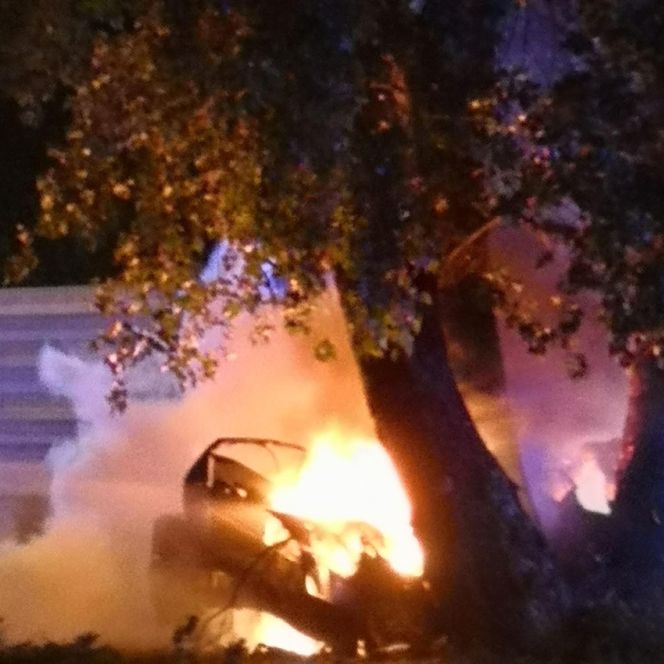 Potworny wypadek w Płocku. Wypadli z drogi, uderzyli w drzewo. Dwoje ludzi spłonęło w samochodzie	