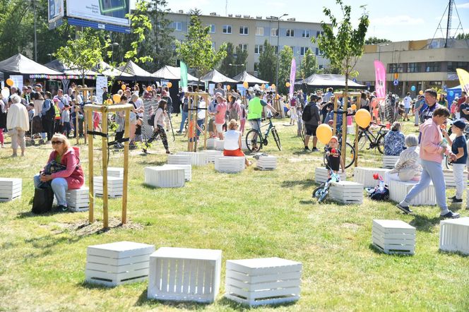 Witaj Lato na Bielanach! Wielkie gwiazdy wystąpią na dzielnicowym pikniku