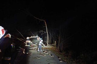 Zerwane dachy i powalone drzewa w Śląskiem. Przez wieczorny wiatr strażacy mieli dużo roboty ZDJĘCIA