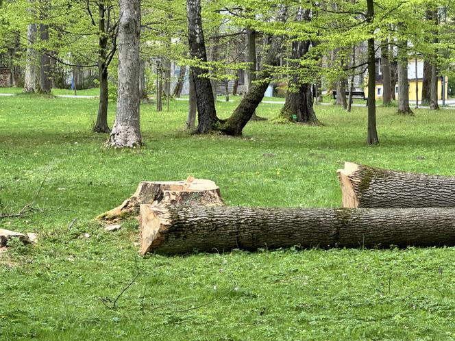 Miesiąc po wichurze, odwiedziliśmy miejsce tragedii w Rabce-Zdroju. Oto, co zobaczyliśmy