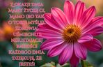 Życzenia dla teściowej na Dzień Mamy