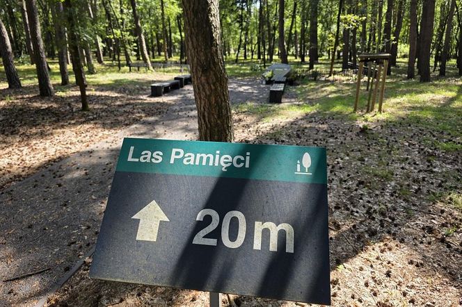 Las pamięci na Junikowie w Poznaniu