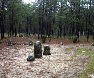 7. Kamienne Kręgi w Węsiorach – „Wielkopolski Stonehenge”