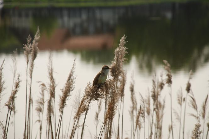 Zawody wędkarskie dla dzieci przyciągnęły w 2025 roku rekordową liczbę 148 uczestników