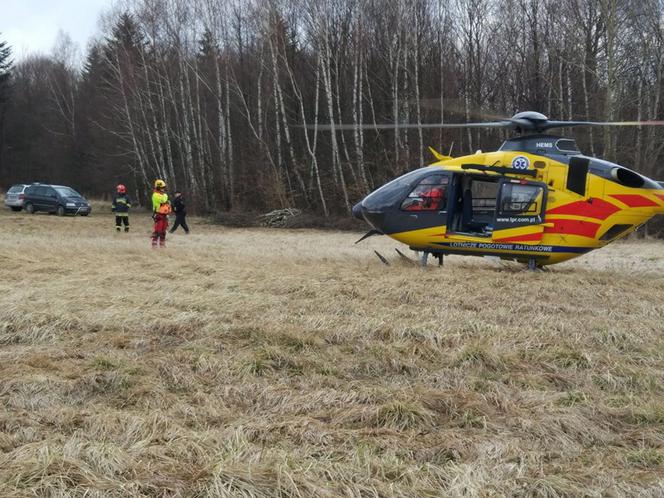 Mężczyzna przygnieciony przez drzewo