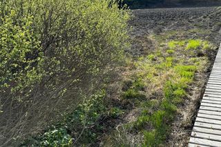 Duży pożar na pograniczu polsko-słowackim. Na miejscu pracuje wiele zastępów straży pożarnej