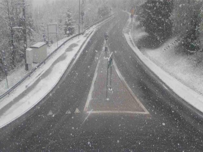 Śnieżyca w Małopolsce. Atak zimy w połowie maja!