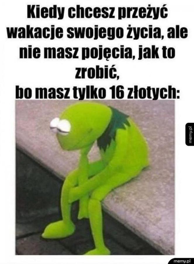 Wakacje trwają w najlepsze. Te memy rozbawią cię do łez!