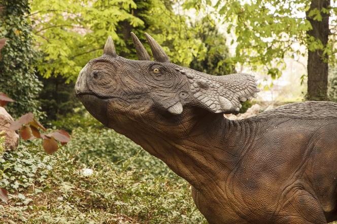 Dinozaury opanowały wrocławski ogród botaniczny