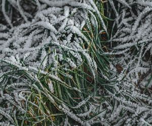 Przymrozki i burze z gradem. IMGW ostrzega mieszkańców województwa lubelskiego