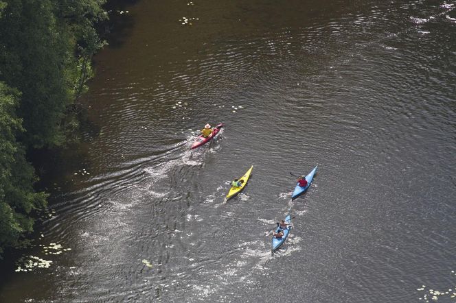 Brodnicki Park Krajobrazowy to raj dla aktywnych turystów. Odkryj bajkowe trasy i miejsca, jakie znasz z powieści kryminalnych!