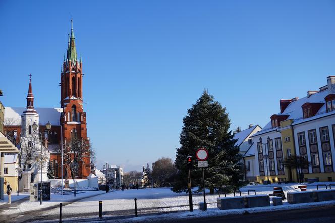 Choinka stanęła w centrum Białegostoku. 12-metrowa atrakcja gotowa na Boże Narodzenie