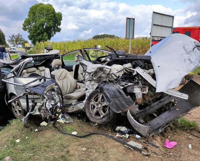 Masakra na drodze. Karambol i śmierć na chwilę przed lądowaniem LPR