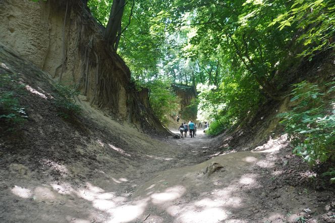 Sandomierz. Wąwóz Św. Królowej Jadwigi
