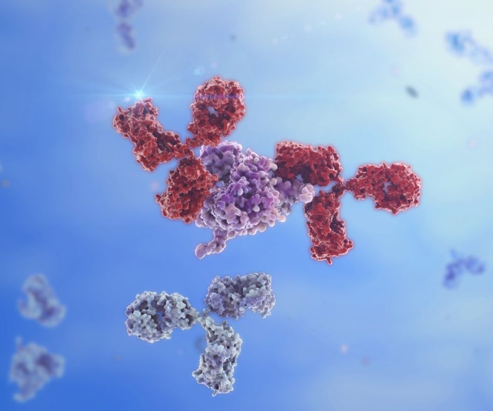 Immunoglobulina typu G (IgG)