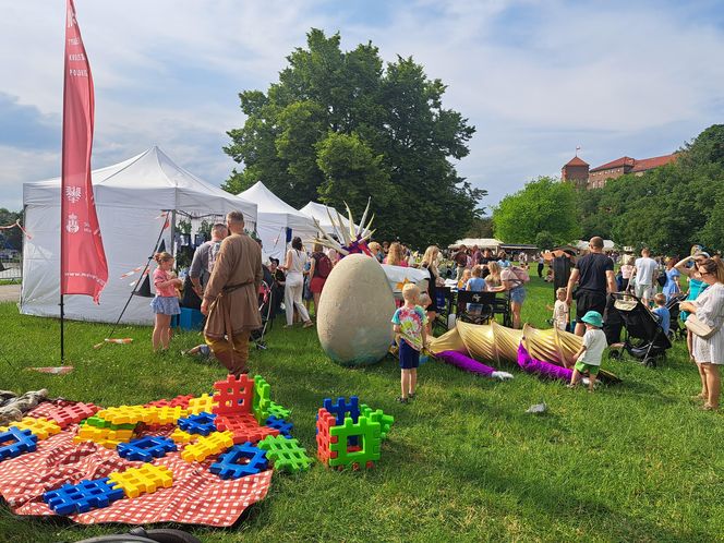 Smoczy Piknik Rodzinny 2025 w Krakowie